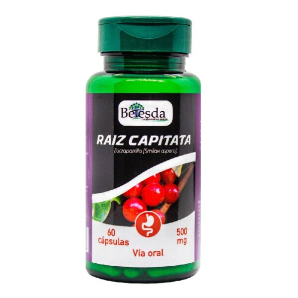 Raiz capitata Zarzaparrilla